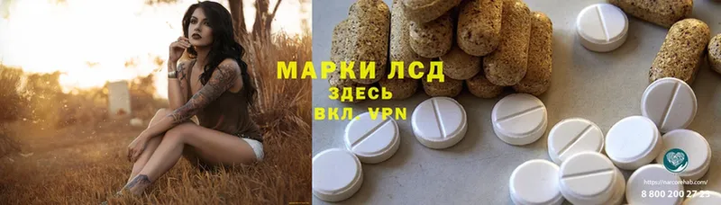 blacksprut   как найти наркотики  Александров  ЛСД экстази ecstasy 